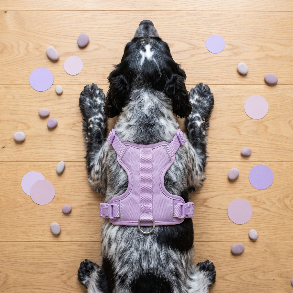 Lilac Sorbet | The Everyday Harness