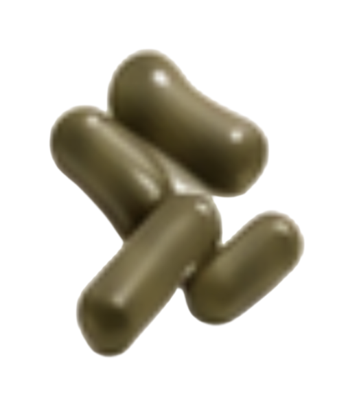 Probiotics